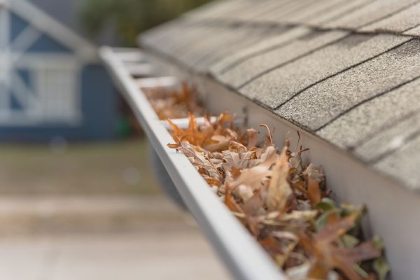 Leaf Barrier Installation in Plant City